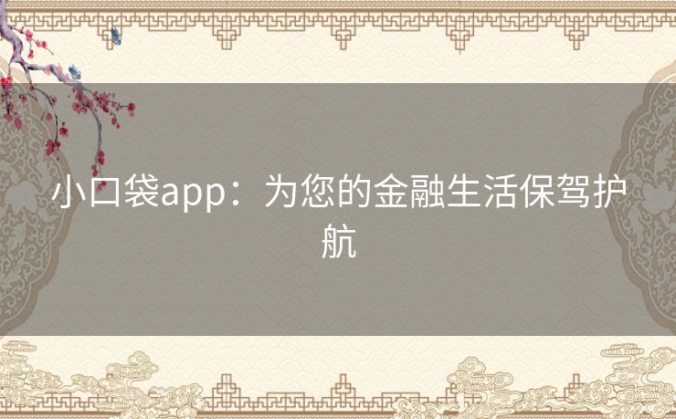 小口袋app：为您的金融生活保驾护航