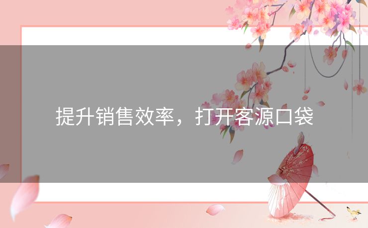 提升销售效率，打开客源口袋