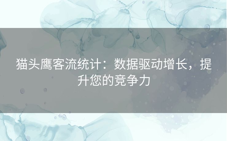 猫头鹰客流统计：数据驱动增长，提升您的竞争力