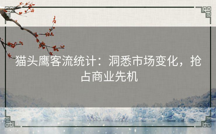 猫头鹰客流统计：洞悉市场变化，抢占商业先机