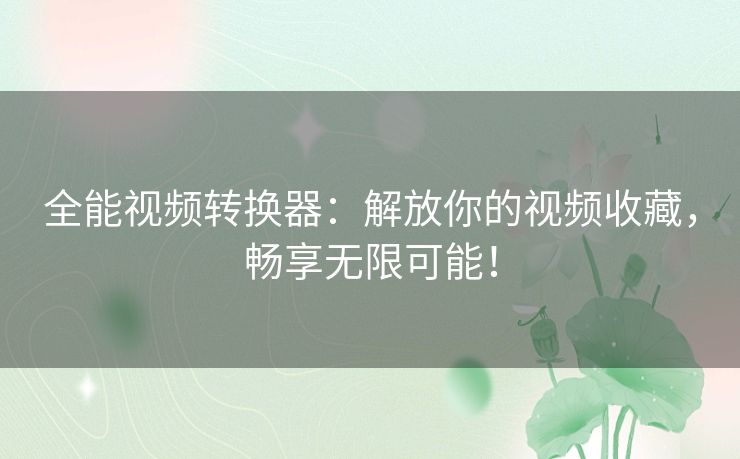 全能视频转换器：解放你的视频收藏，畅享无限可能！