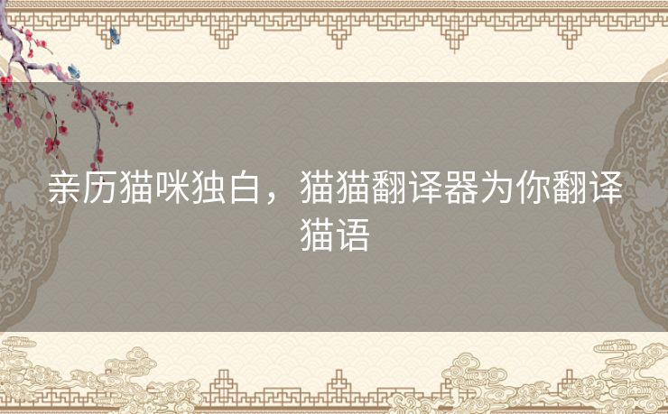 亲历猫咪独白，猫猫翻译器为你翻译猫语