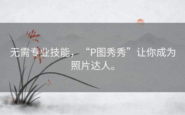 无需专业技能，“P图秀秀”让你成为照片达人。