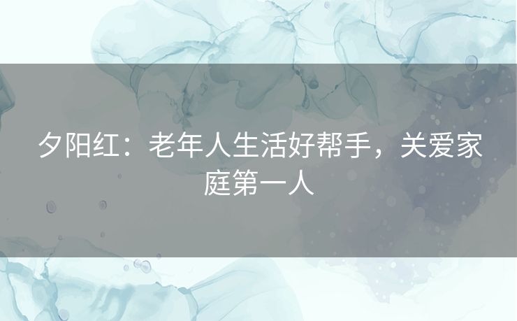 夕阳红：老年人生活好帮手，关爱家庭第一人