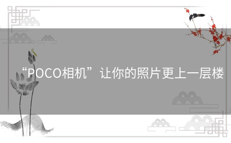 “POCO相机”让你的照片更上一层楼