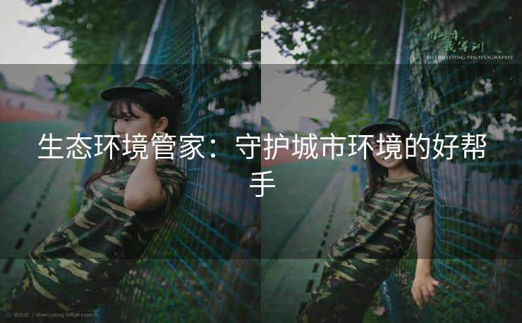 生态环境管家：守护城市环境的好帮手