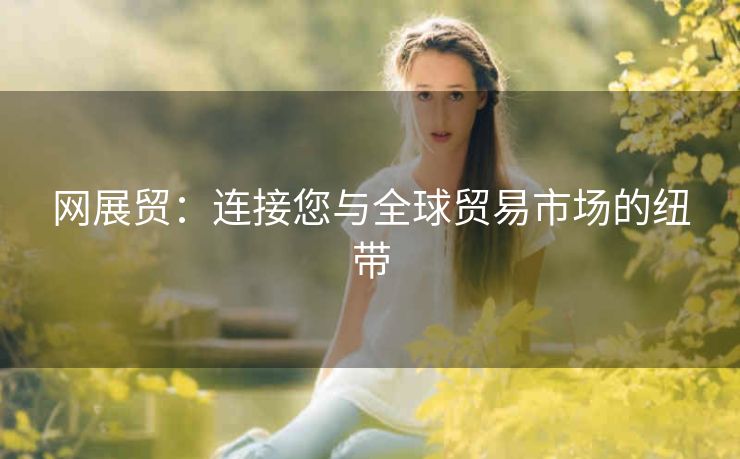 网展贸：连接您与全球贸易市场的纽带