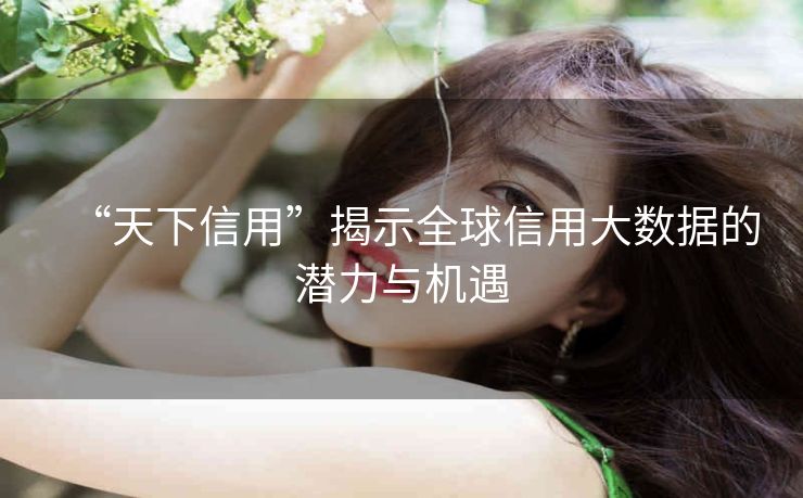“天下信用”揭示全球信用大数据的潜力与机遇