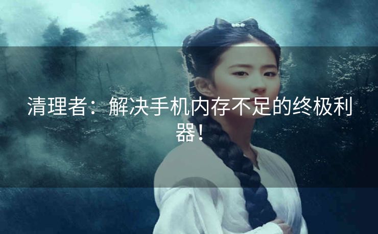 清理者：解决手机内存不足的终极利器！