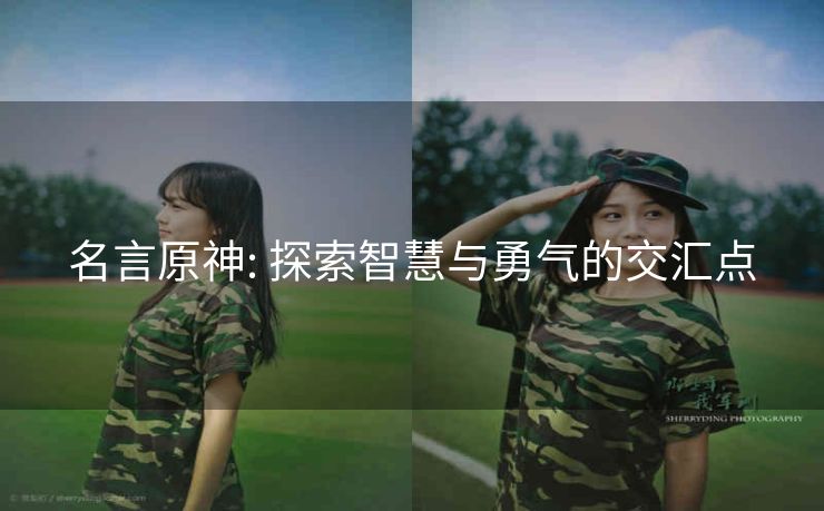 名言原神: 探索智慧与勇气的交汇点