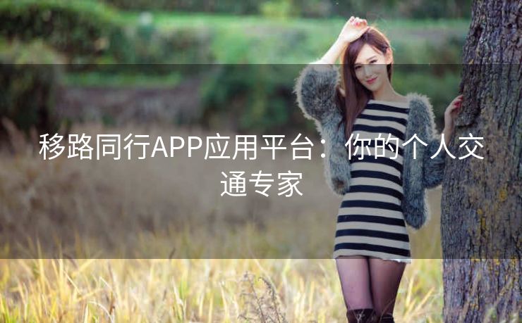 移路同行APP应用平台：你的个人交通专家