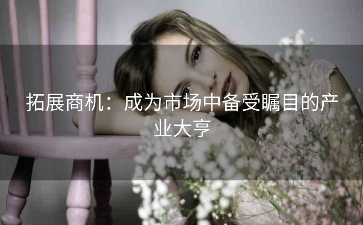 拓展商机：成为市场中备受瞩目的产业大亨