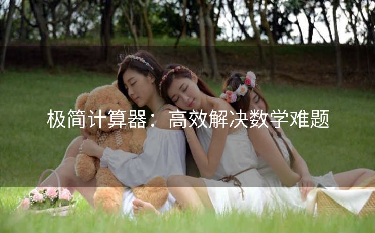 极简计算器：高效解决数学难题