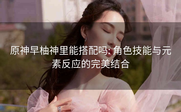 原神早柚神里能搭配吗: 角色技能与元素反应的完美结合