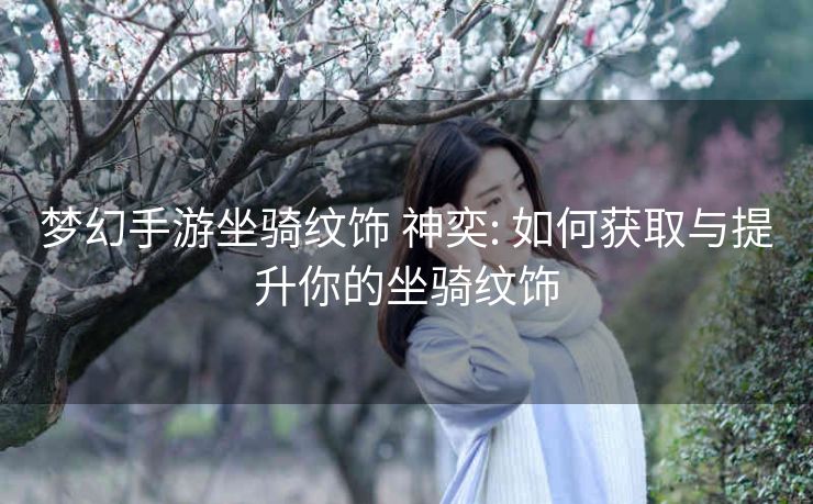 梦幻手游坐骑纹饰 神奕: 如何获取与提升你的坐骑纹饰