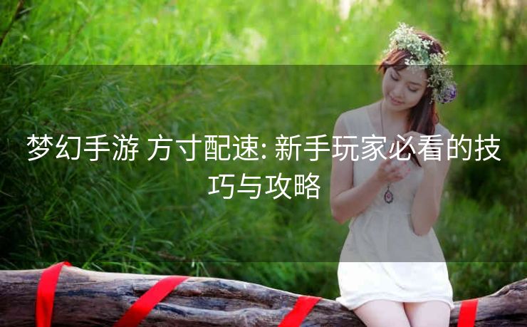 梦幻手游 方寸配速: 新手玩家必看的技巧与攻略