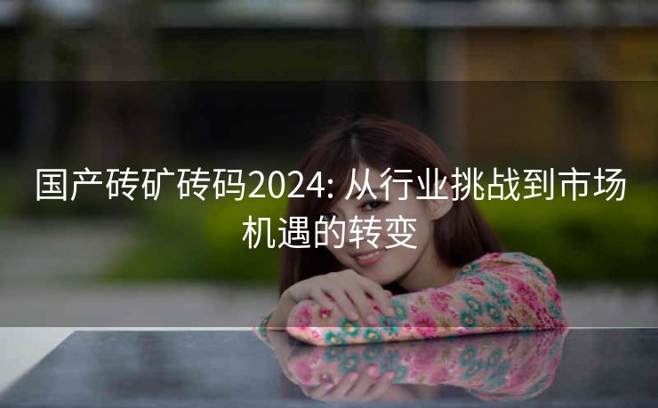 国产砖矿砖码2024: 从行业挑战到市场机遇的转变
