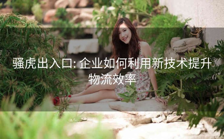 骚虎出入口: 企业如何利用新技术提升物流效率