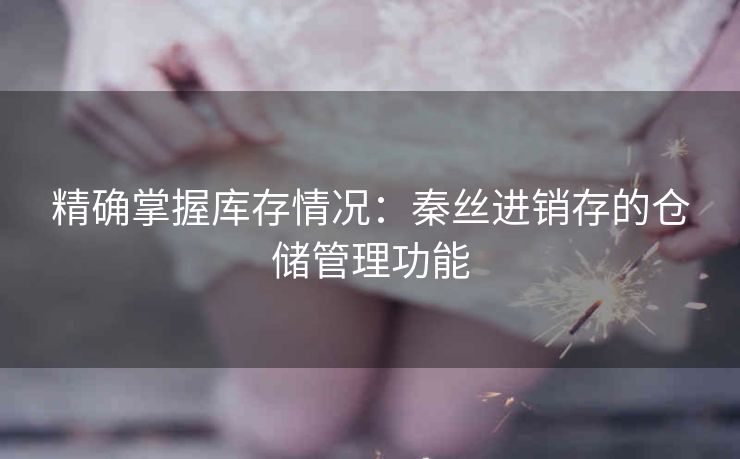 精确掌握库存情况：秦丝进销存的仓储管理功能