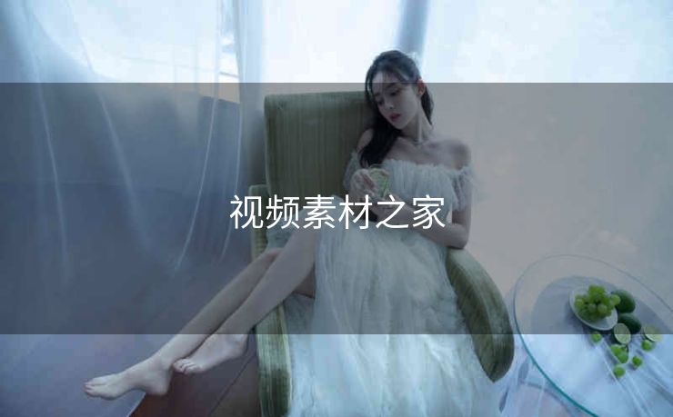 视频素材之家