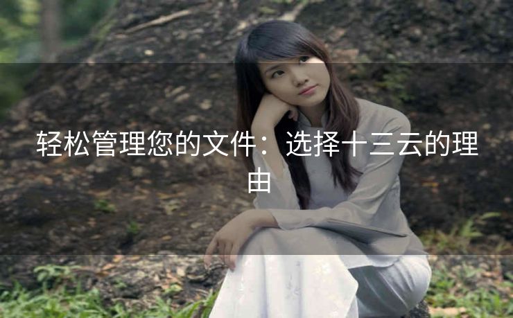 轻松管理您的文件：选择十三云的理由