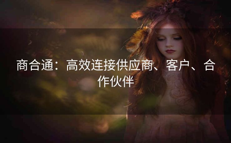 商合通：高效连接供应商、客户、合作伙伴