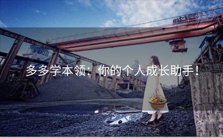 多多学本领：你的个人成长助手！