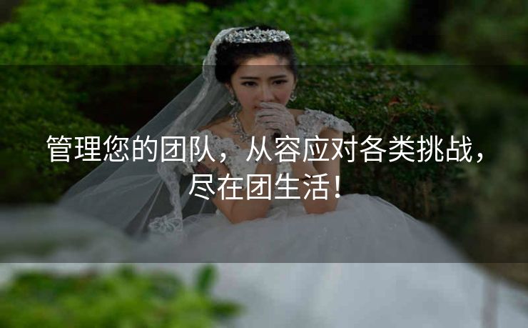 管理您的团队，从容应对各类挑战，尽在团生活！