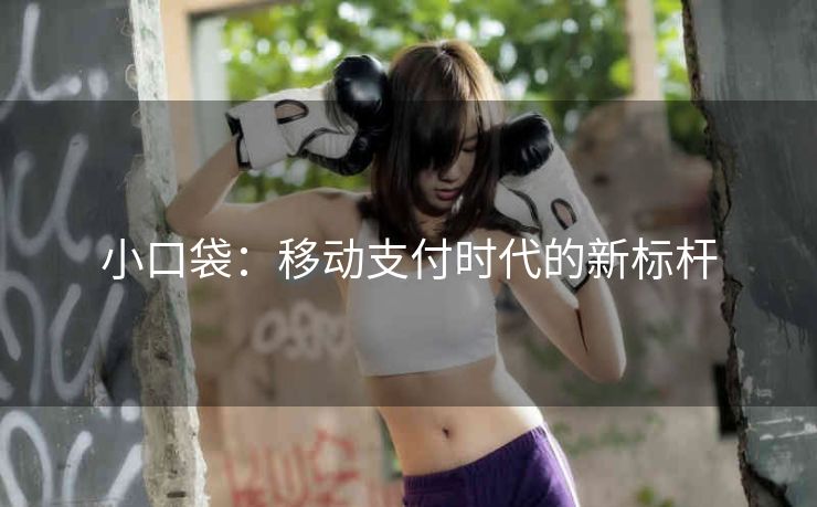 小口袋：移动支付时代的新标杆