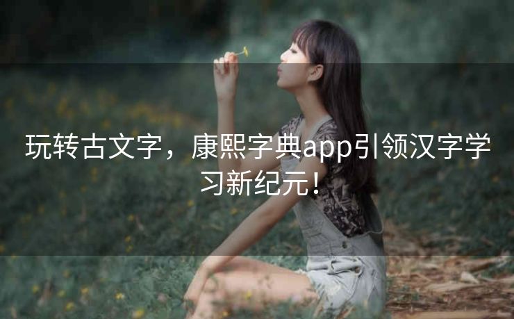 玩转古文字，康熙字典app引领汉字学习新纪元！