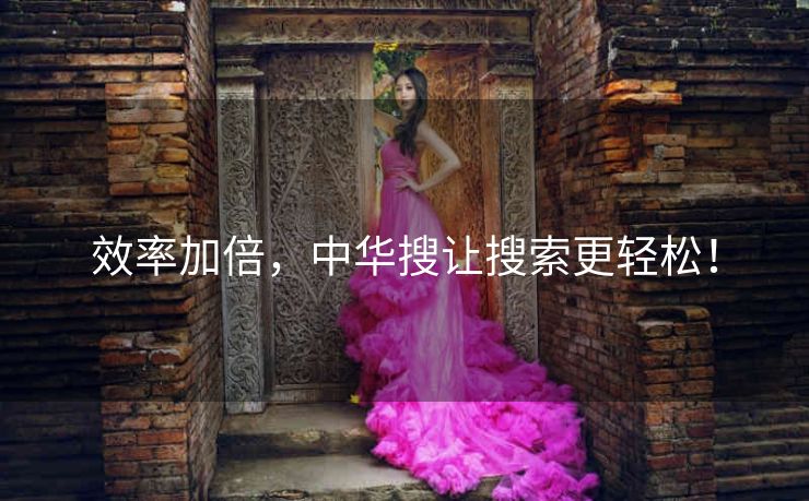 效率加倍，中华搜让搜索更轻松！