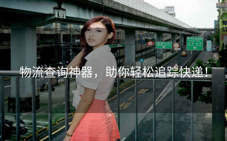 物流查询神器，助你轻松追踪快递！