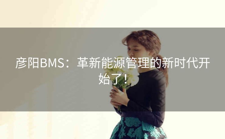 彦阳BMS：革新能源管理的新时代开始了！