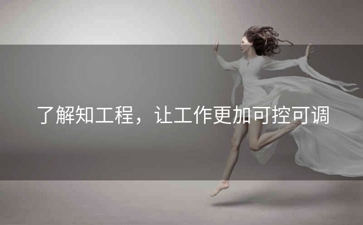了解知工程，让工作更加可控可调