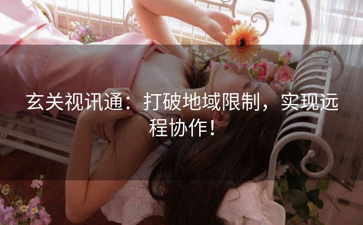 玄关视讯通：打破地域限制，实现远程协作！