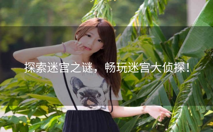 探索迷宫之谜，畅玩迷宫大侦探！