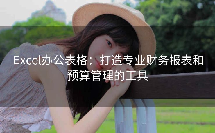 Excel办公表格：打造专业财务报表和预算管理的工具