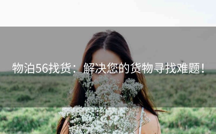 物泊56找货：解决您的货物寻找难题！