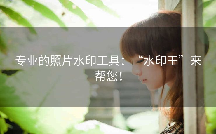 专业的照片水印工具：“水印王”来帮您！