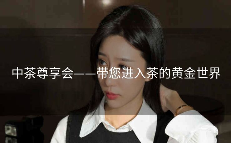 中茶尊享会——带您进入茶的黄金世界
