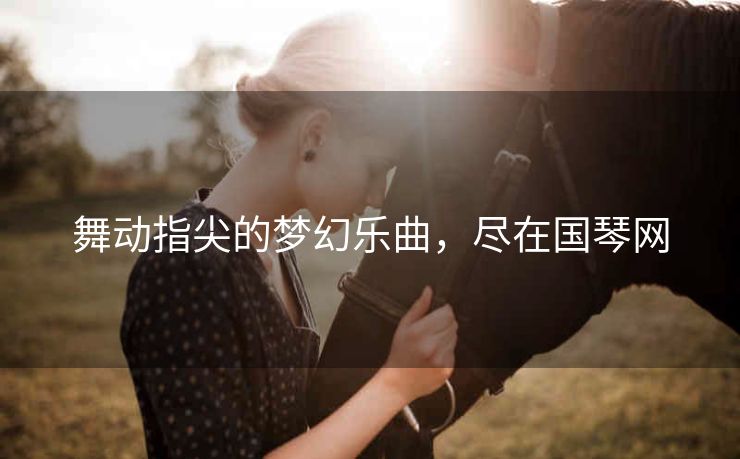 舞动指尖的梦幻乐曲，尽在国琴网