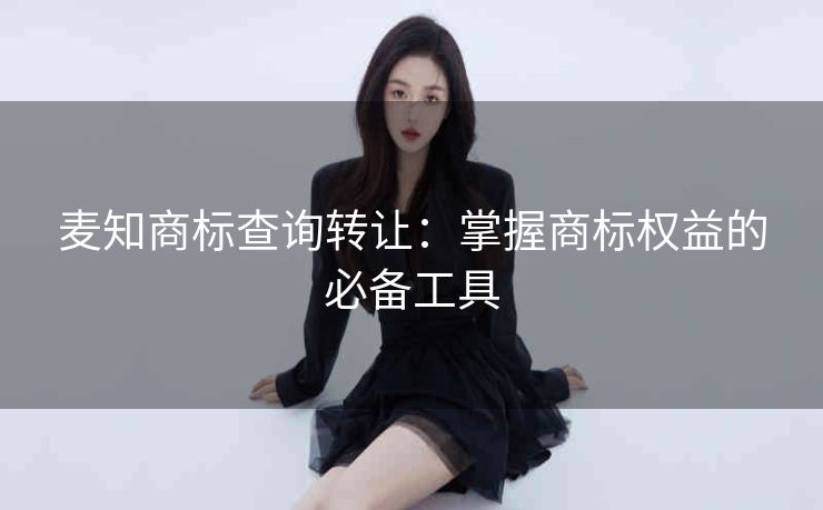 麦知商标查询转让：掌握商标权益的必备工具