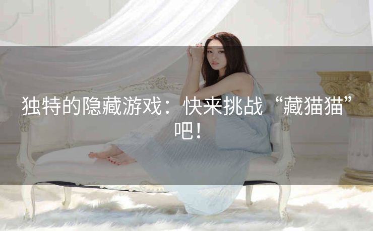 独特的隐藏游戏：快来挑战“藏猫猫”吧！