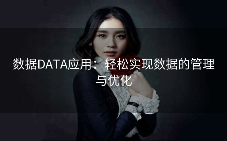 数据DATA应用：轻松实现数据的管理与优化