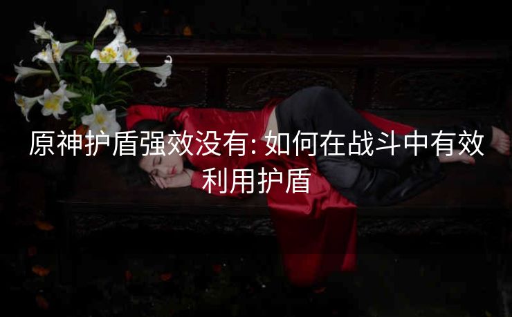 原神护盾强效没有: 如何在战斗中有效利用护盾