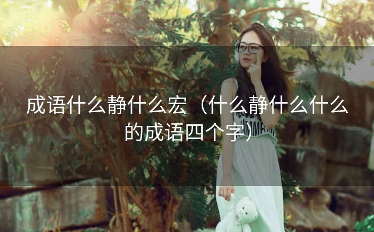 成语什么静什么宏（什么静什么什么的成语四个字）