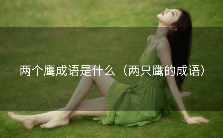 两个鹰成语是什么（两只鹰的成语）