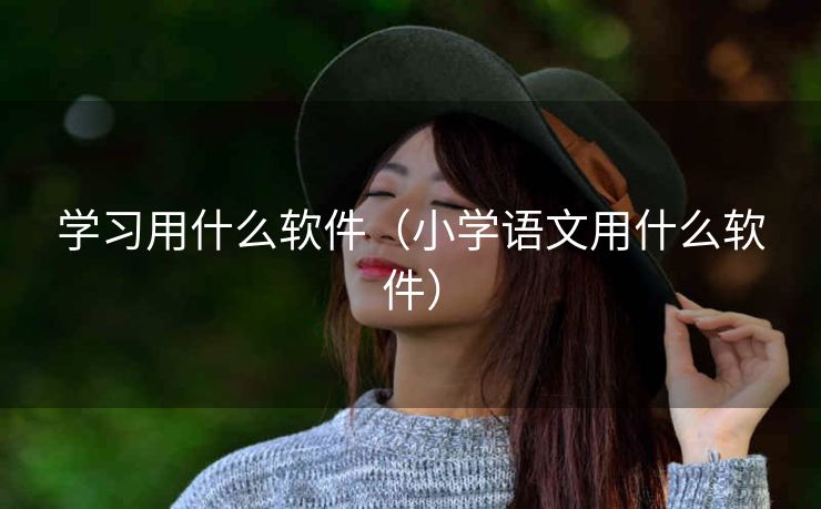 学习用什么软件（小学语文用什么软件）