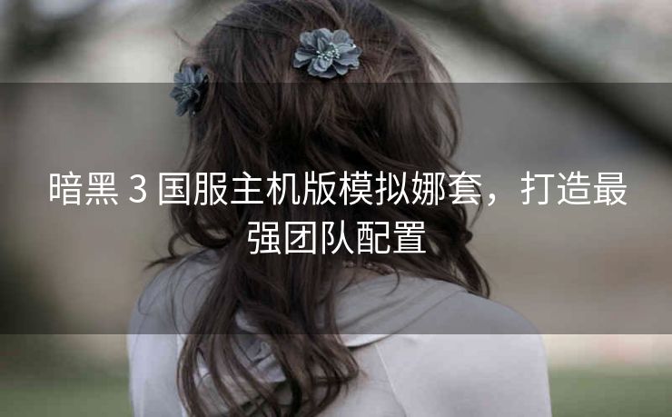 暗黑 3 国服主机版模拟娜套，打造最强团队配置