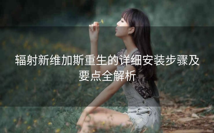 辐射新维加斯重生的详细安装步骤及要点全解析
